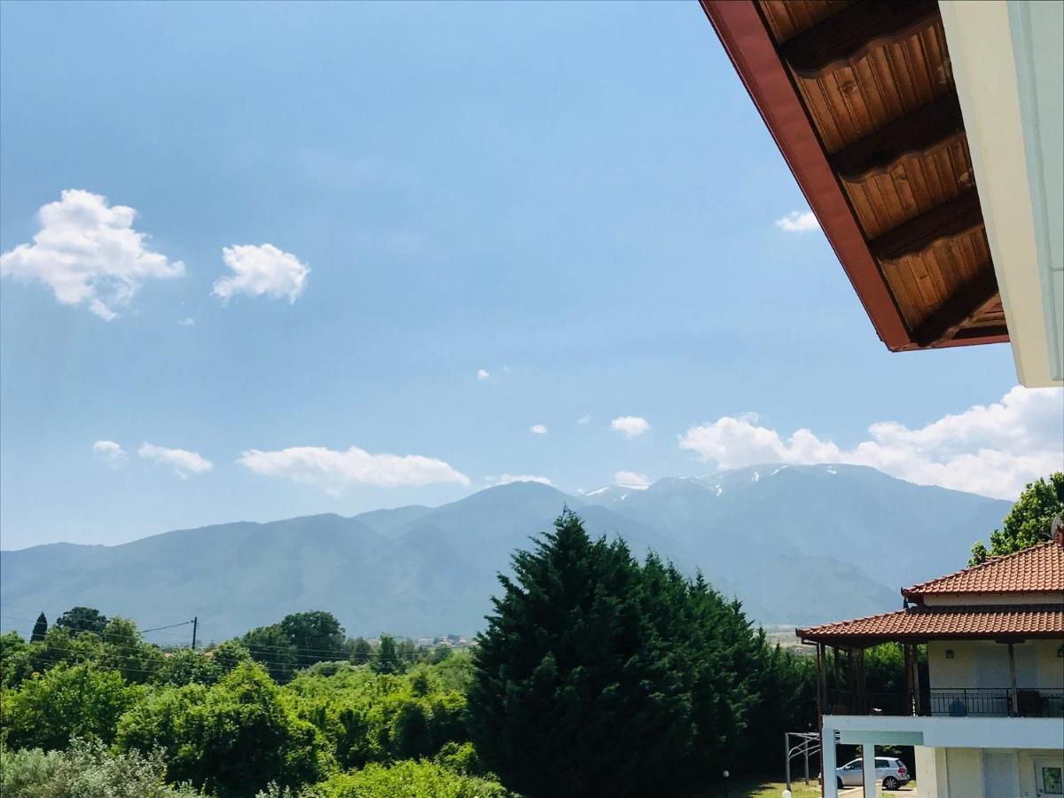 普拉卡利特索罗Dimeli 1公寓 外观 照片